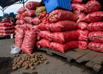 Chile: Potato Sector Faces Its Worst Crisis in a Decade