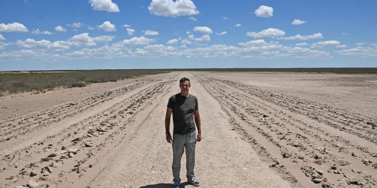 From a Vegetable Trader in Córdoba to a US$50 Million Investment in Potatoes and the Transformation of the Patagonian Desert