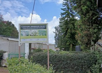 Soilless Technology Reshaping Kenya’s Potato Seed Industry