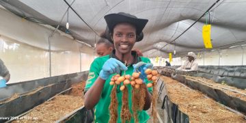 Changing Stories: How Gen Z is Revolutionizing Agriculture