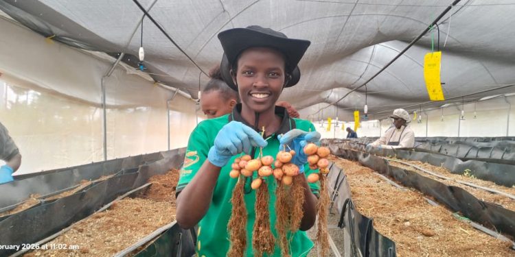 Changing Stories: How Gen Z is Revolutionizing Agriculture