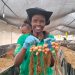 Changing Stories: How Gen Z is Revolutionizing Agriculture