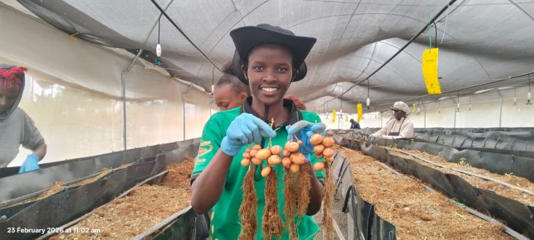 Changing Stories: How Gen Z is Revolutionizing Agriculture