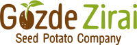Gözde Ziraî: How a Turkish family business shifted from table potatoes to the French-fries segment and sustainable varieties 23 Gözde Ziraî: How a Turkish family business shifted from table potatoes to the French-fries segment and sustainable varieties