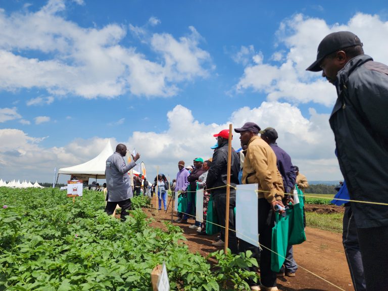 Kenya to Host the 13th World Potato Congress in October–November 2026 13 Kenya to Host the 13th World Potato Congress in October–November 2026