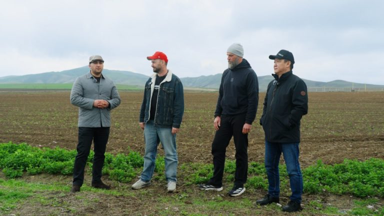 Azerbaijan Bets on Seed Potatoes: European Technology Takes Root in the Aghstafa Region