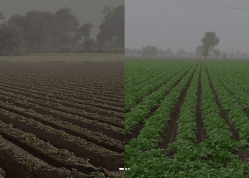 POTATOES NEWS and the International Potato Tour Welcome Regional Partner in Pakistan — Green Perfect Plant (GPP)