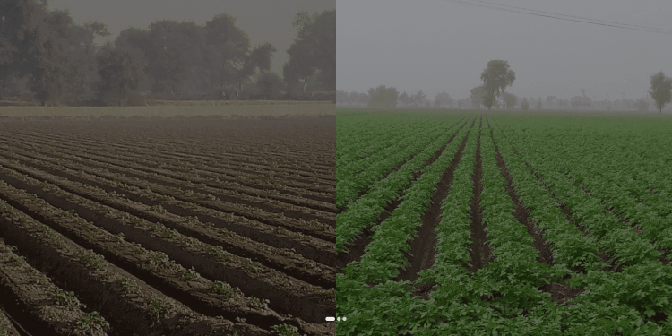 POTATOES NEWS and the International Potato Tour Welcome Regional Partner in Pakistan — Green Perfect Plant (GPP)