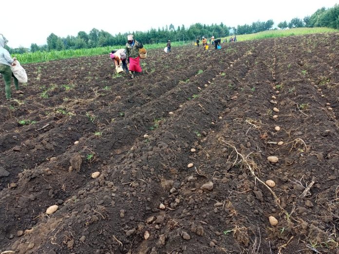 .trashed-1764224967-IMG-20250807-WA0037