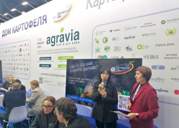 Как сохранить картофель и удержать цены: специалисты рассказали о новых разработках