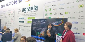 Как сохранить картофель и удержать цены: специалисты рассказали о новых разработках