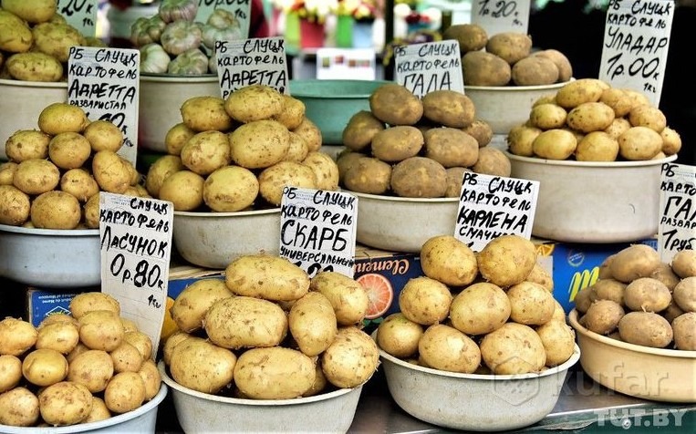 Belarus has limited the increase in potato prices 22 Belarus has limited the increase in potato prices