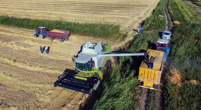 The farming community of Kazakhstan sums up the results of 2024