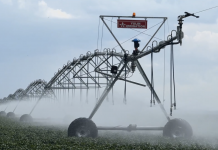 “Tavriysky Ovoshchevod” (Región de Omsk): 100% de riego, contratos agrícolas minoristas y cultivos de cobertura dos veces por temporada