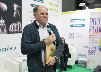 Potato Grower 2.0: How the Global Potato Industry Is Being Rebuilt Through Dialogue and Cooperation